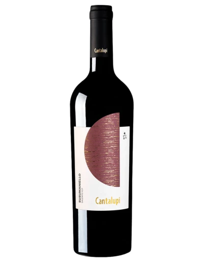Cantalupi Susumaniello Conti Zecca cl.75 – IGP Salento | Vineria24