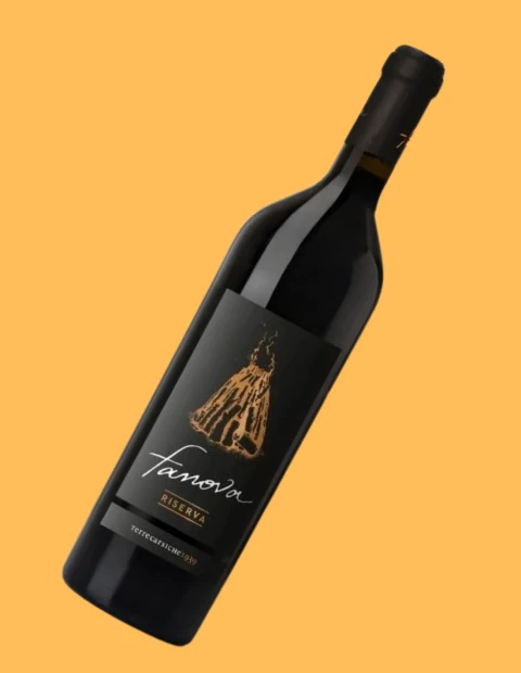 Terre Carsiche Fanova Primitivo Gioia del Colle Riserva DOC 75cl