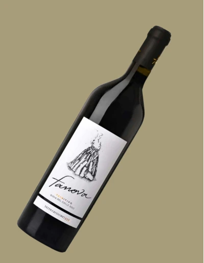 Terre Carsiche Fanova Primitivo Gioia del Colle DOC 75cl 2