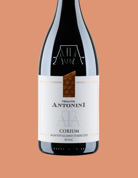 Antonini Montepulciano d’Abruzzo DOC 75 cl