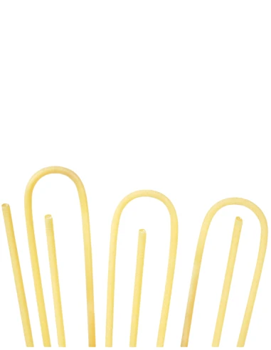 Bucatini Benedetto Cavalieri 500g – Pasta Artigianale