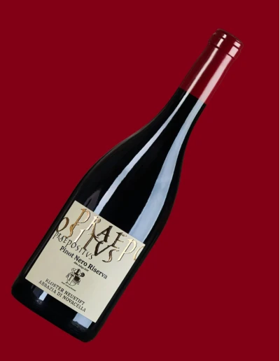Praepositus Pinot Nero Abbazia di Novacella 75 cl | Vineria24 2