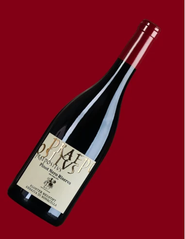 Praepositus Pinot Nero Abbazia di Novacella 75 cl | Vineria24