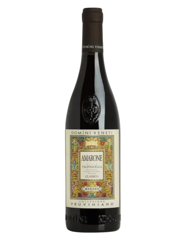 Amarone Classico DOCG Domìni Veneti 75 cl | Vineria24