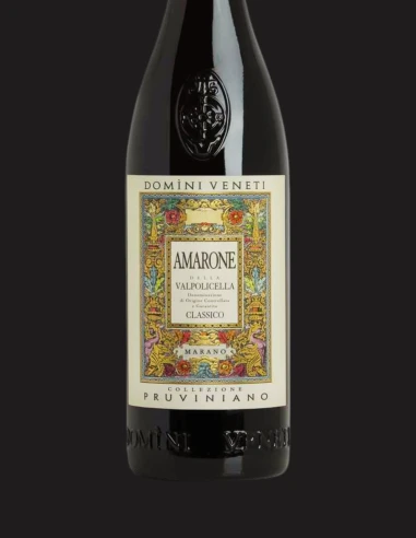 Amarone Classico DOCG Domìni Veneti 75 cl | Vineria24