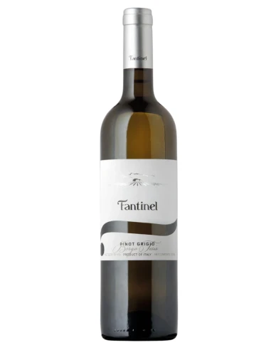 Pinot Grigio DOC Fantinel Borgo Tesis 75 cl | Vineria24