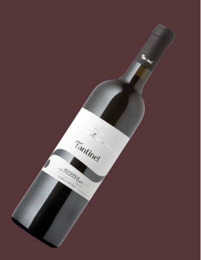 Refosco DOC Fantinel Borgo Tesis 75 cl | Vineria24 2