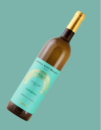 Ribolla Gialla Collio DOC Caterina Sant’Helena 75 cl | Vineria24 2