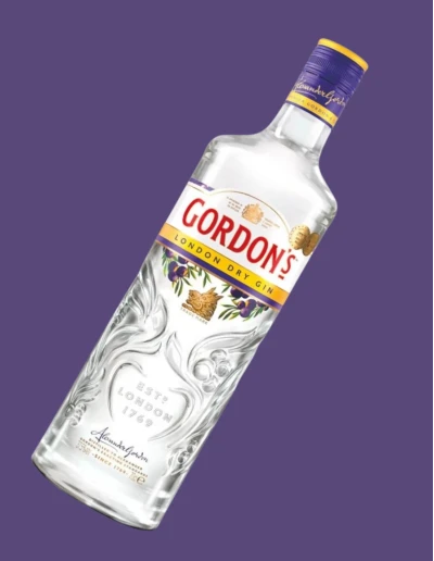 Gordon’s London Dry Gin 100 cl | Vineria24 2
