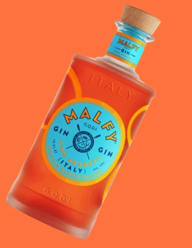 Malfy Gin Arancia 70 cl | Vineria24