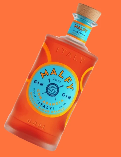 Malfy Gin Arancia 70 cl | Vineria24