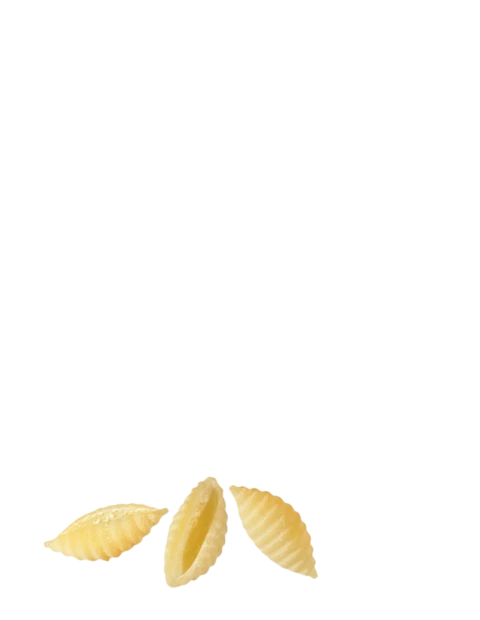 Gnocchi Sardi Benedetto Cavalieri 500g – Pasta Artigianale